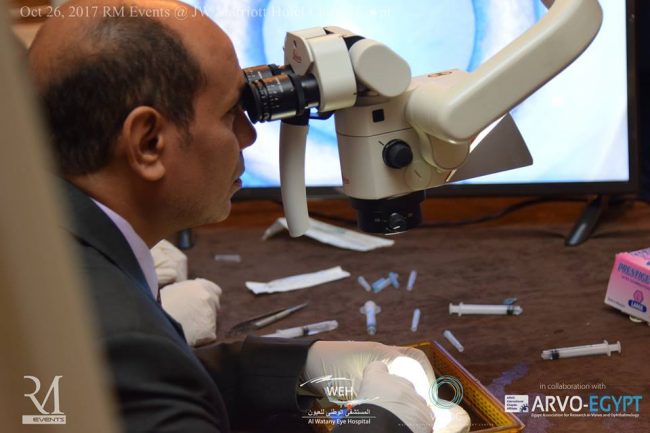 23559424_1579861888703184_6568948716500421213_n